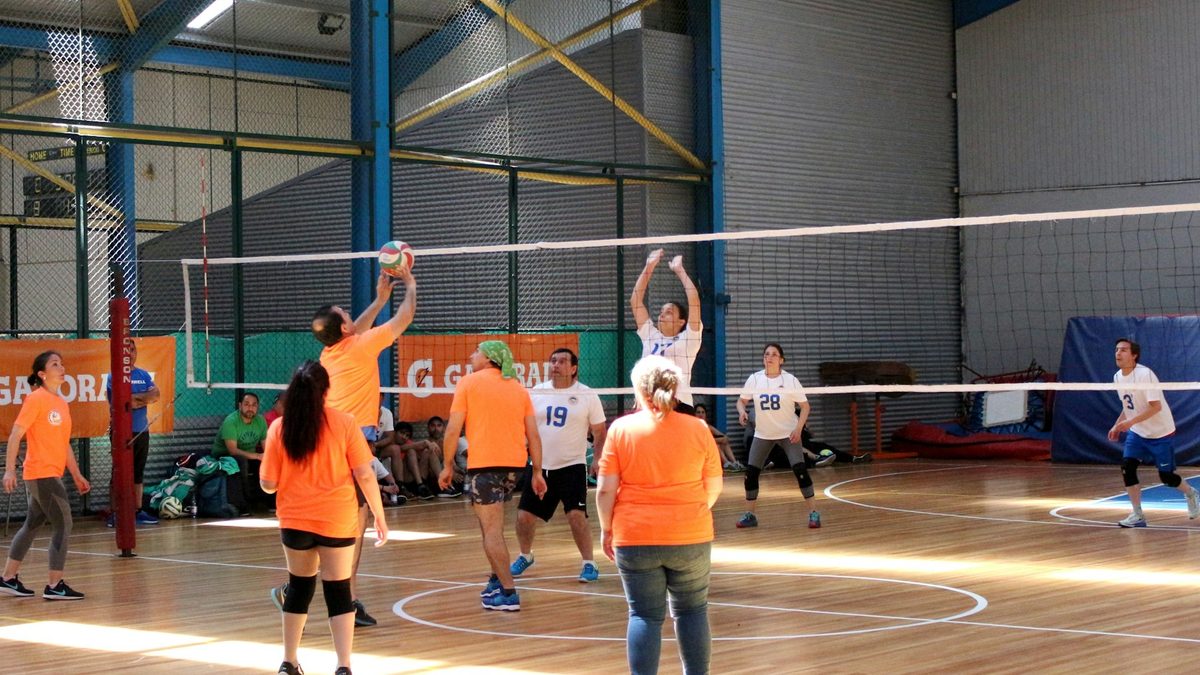 Volleybaltoernooi organiseren: poules, speelschema en scheidsrechters